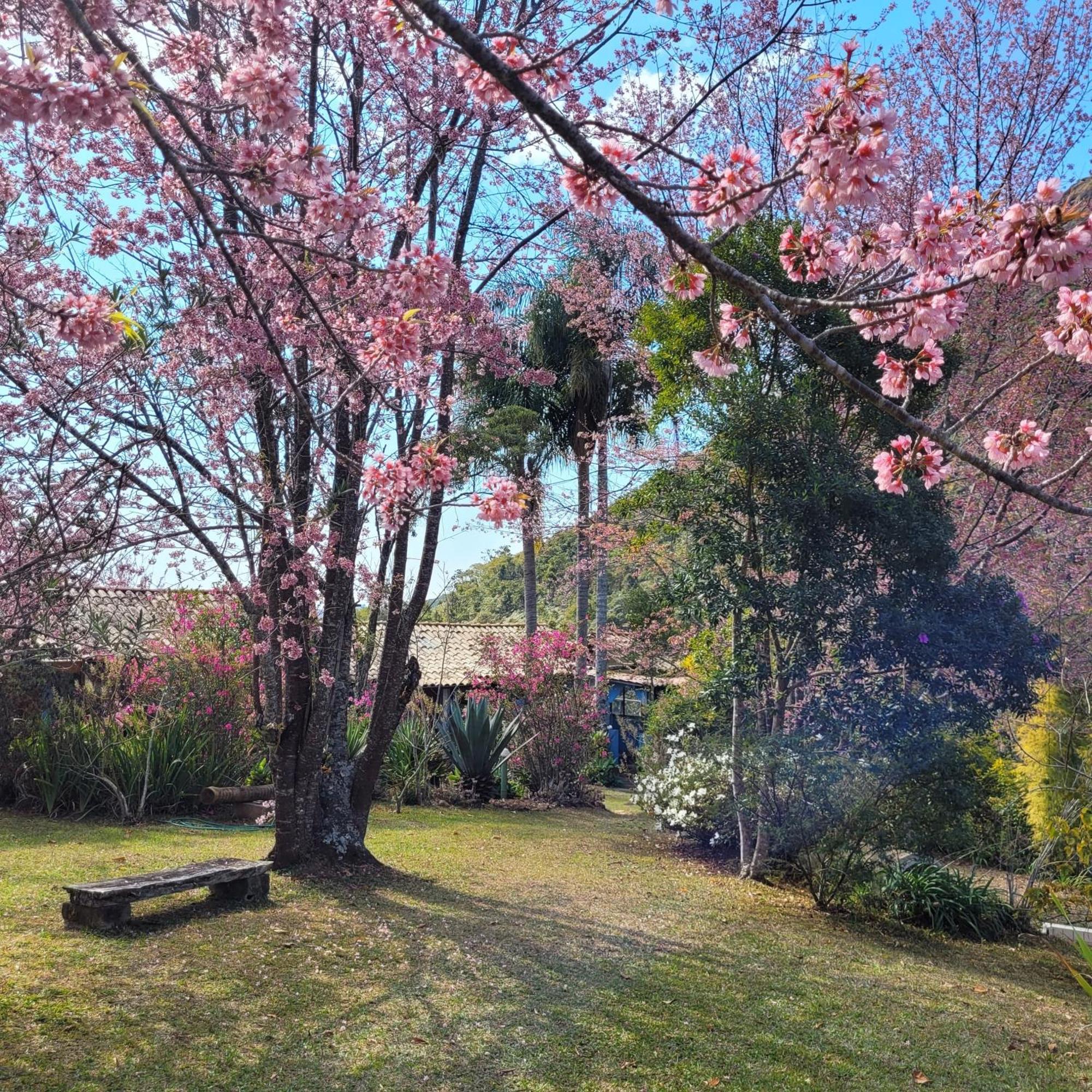 Pousada Mandala Das Aguas Otel Aiuruoca Dış mekan fotoğraf